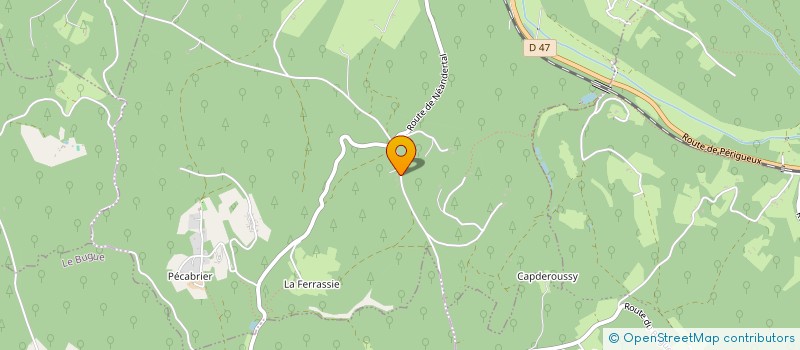 localisation de l'entreprise MONSIEUR FABRICE VERGNAUD  LES EYZIES