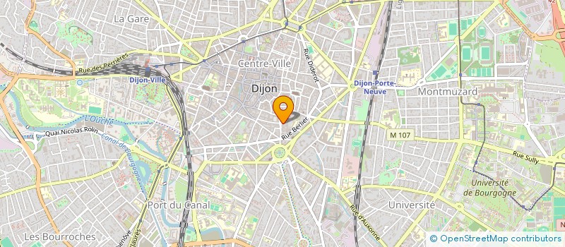 localisation de l'entreprise MONSIEUR FADI MITRY à DIJON