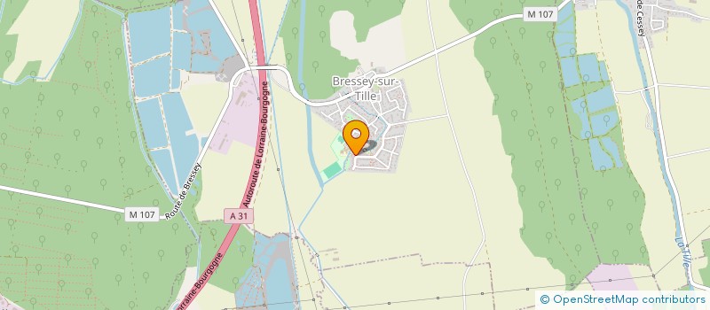 localisation de l'entreprise MONSIEUR FADIL ZIANI  BRESSEY-SUR-TILLE