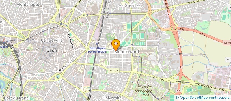 localisation de l'entreprise MONSIEUR FAISAL RAHIMI  DIJON