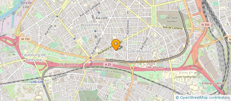 localisation de l'entreprise MONSIEUR FALOU BADIANE à LILLE