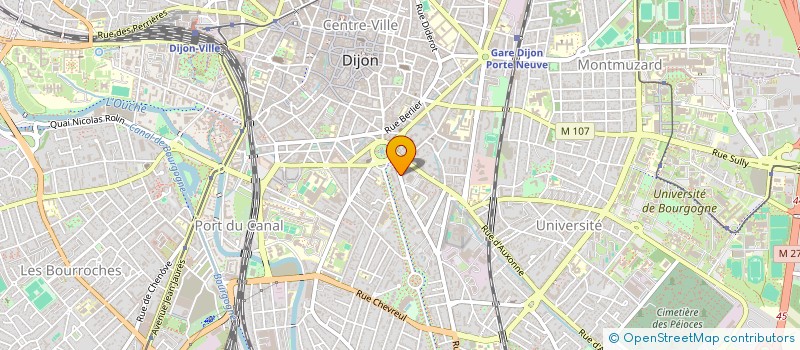localisation de l'entreprise MONSIEUR FARES AHID à DIJON