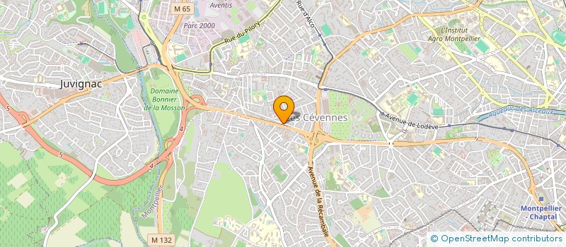 localisation de l'entreprise MONSIEUR FARES ZITOUN à MONTPELLIER