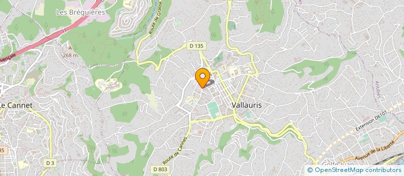 localisation de l'entreprise MONSIEUR FARHAT NOUIRI à VALLAURIS