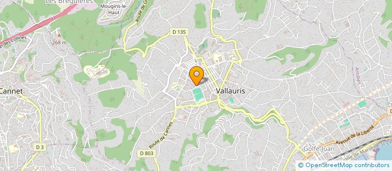 localisation de l'entreprise MONSIEUR FARHAT TAAMALLAH  VALLAURIS