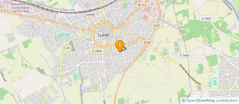 localisation de l'entreprise MONSIEUR FARID HAMICI  MARSILLARGUES