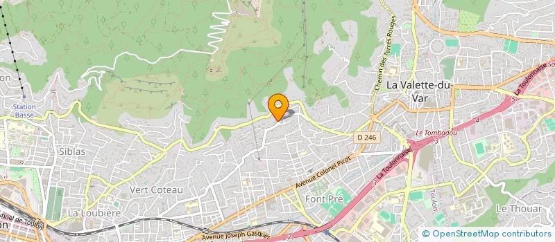 localisation de l'entreprise MONSIEUR FARID SELMI  TOULON