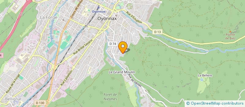 localisation de l'entreprise MONSIEUR FAROUK BEN SOLTAN à OYONNAX