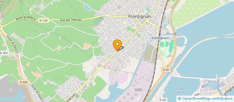 localisation de l'entreprise MONSIEUR FASKA BEN YEDIR à FRONTIGNAN