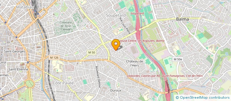 localisation de l'entreprise MONSIEUR FAUSTIN DESPOUYS à TOULOUSE