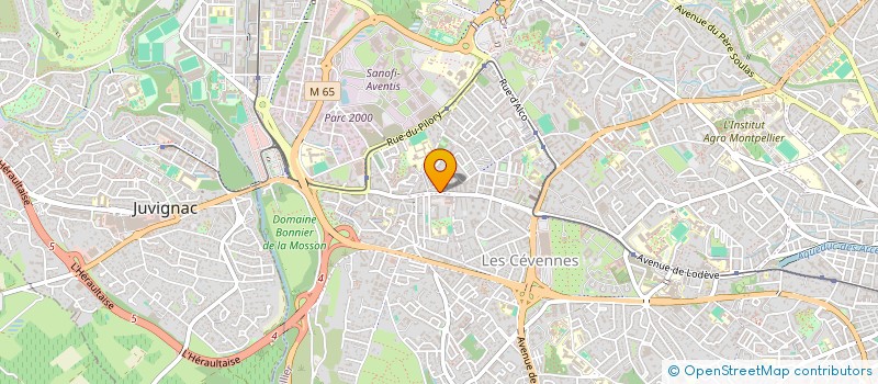 localisation de l'entreprise MONSIEUR FAWZI HAZEM à MONTPELLIER