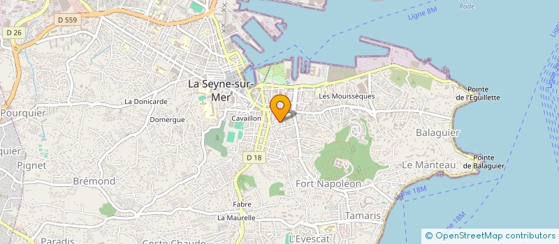 localisation de l'entreprise MONSIEUR FAYE NDIAYE à LA SEYNE-SUR-MER