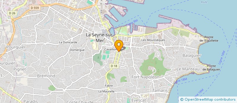 localisation de l'entreprise MONSIEUR FEDDY MESSAOUD  LA SEYNE-SUR-MER