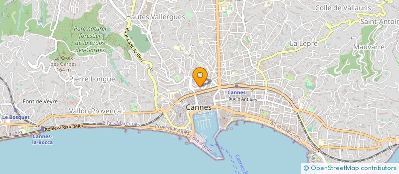 localisation de l'entreprise MONSIEUR FEDERICO CAMUSSO à CANNES