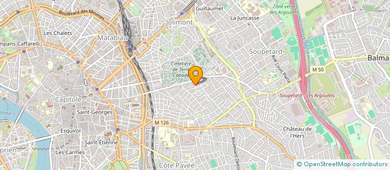 localisation de l'entreprise MONSIEUR FEDI BEDHIEF  TOULOUSE