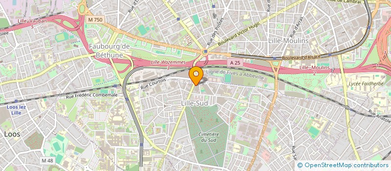 localisation de l'entreprise MONSIEUR FELICIEN LOSABO BOSOLO  LILLE