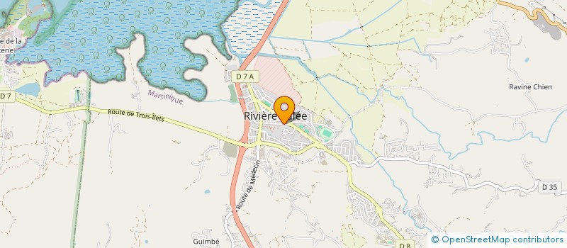 localisation de l'entreprise MONSIEUR FELIX BOYER-FAUSTIN à RIVIERE SALEE