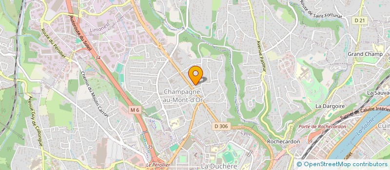 localisation de l'entreprise MONSIEUR FELIX DRAY  CHAMPAGNE-AU-MONT-D'OR