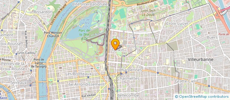 localisation de l'entreprise MONSIEUR FELIX GUEYE  VILLEURBANNE