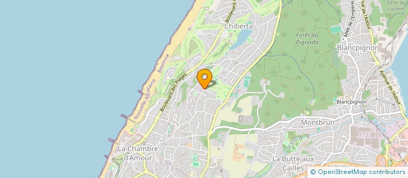 localisation de l'entreprise MONSIEUR FELIX MAIGRET  ANGLET