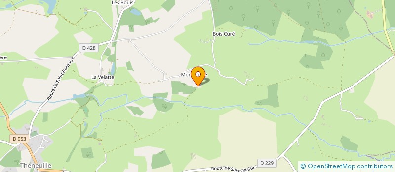 localisation de l'entreprise MONSIEUR FERGUS DOYLE  THENEUILLE