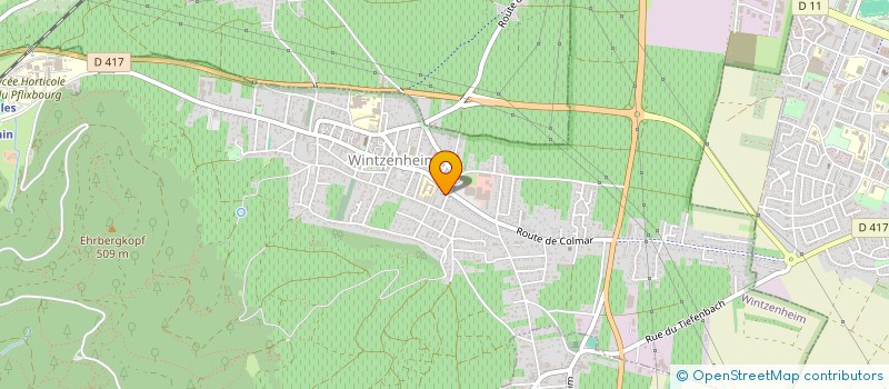 localisation de l'entreprise MONSIEUR FERHAT ALTAS  WINTZENHEIM