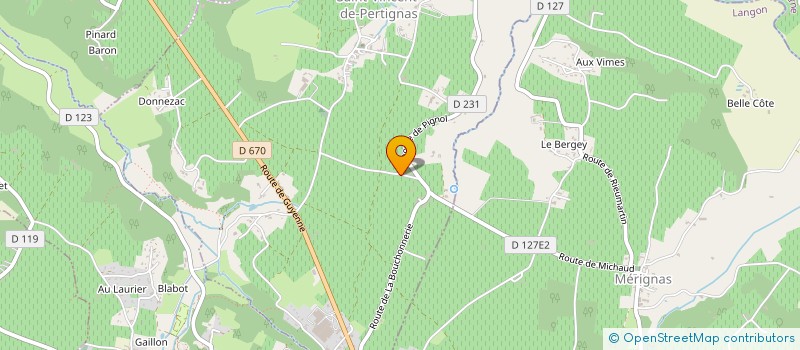 localisation de l'entreprise MONSIEUR FERNAND DE ALMEIDA ANDRADE  SAINT-VINCENT-DE-PERTIGNAS