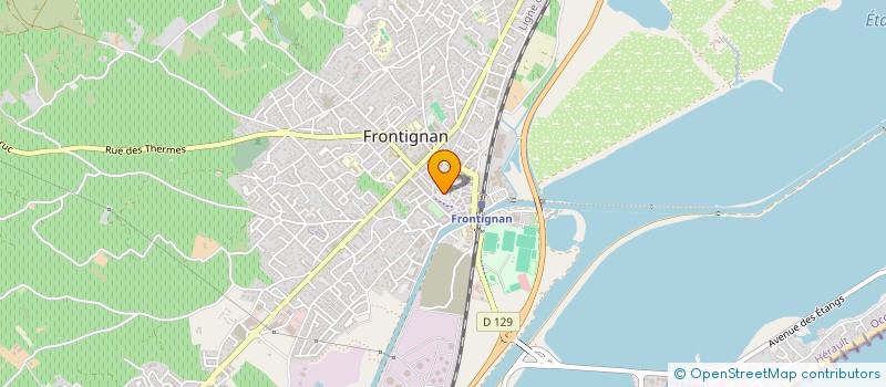 localisation de l'entreprise MONSIEUR FERNAND DELMONTE à FRONTIGNAN