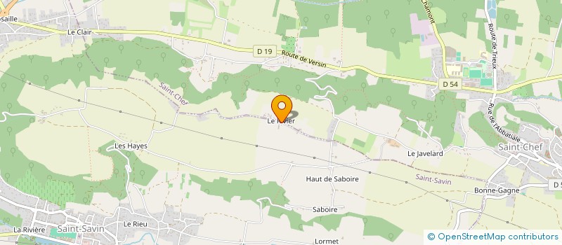 localisation de l'entreprise MONSIEUR FERNAND JOANNAN  SAINT-SAVIN