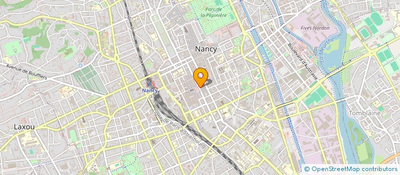 localisation de l'entreprise MONSIEUR FERNANDO ALMEIDA AZEVEDO  NANCY