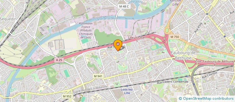 localisation de l'entreprise MONSIEUR FERNANDO BENITO GONZALEZ  LOOS