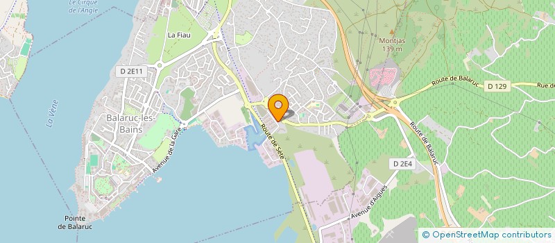 localisation de l'entreprise MONSIEUR FERNANDO FERNANDES CUNHA à BALARUC-LES-BAINS