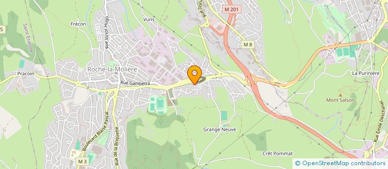 localisation de l'entreprise MONSIEUR FERNANDO MENDES  ROCHE-LA-MOLIERE