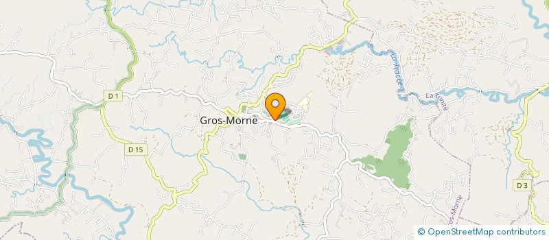 localisation de l'entreprise MONSIEUR FERNANDO PINTO  GROS-MORNE