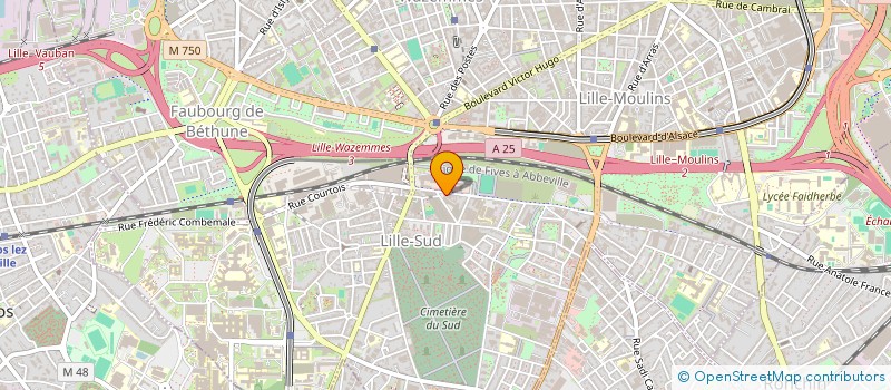 localisation de l'entreprise MONSIEUR FETHI TEBIB à LILLE