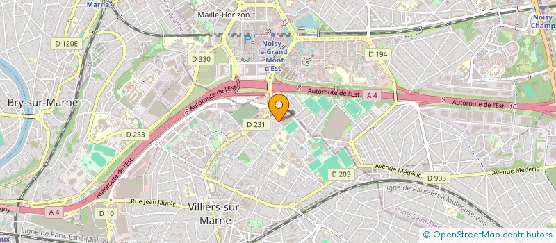 localisation de l'entreprise MONSIEUR FIDEL ENRIQUE REYES LLERENA  VILLIERS-SUR-MARNE