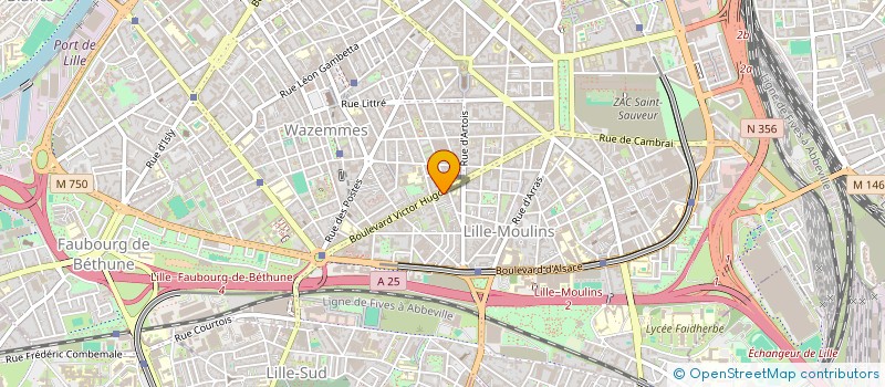 localisation de l'entreprise MONSIEUR FIDELE LOVI  LILLE