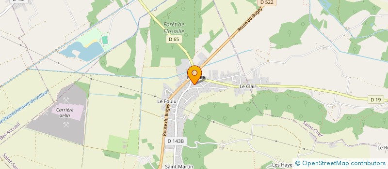 localisation de l'entreprise MONSIEUR FILIPE FERNANDES COELHO  SAINT-SAVIN