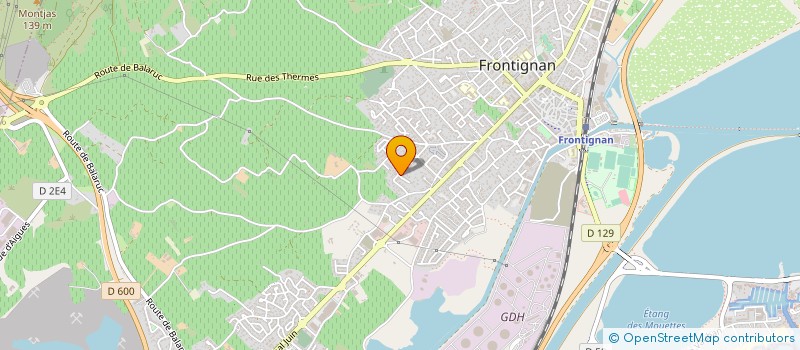 localisation de l'entreprise MONSIEUR FIRMINO DOS SANTOS DO VALE TOME  FRONTIGNAN