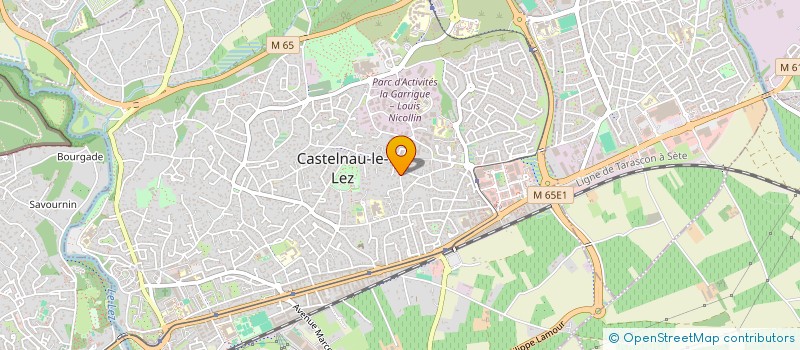localisation de l'entreprise MONSIEUR FLAVIEN ALIAGA  CASTELNAU-LE-LEZ
