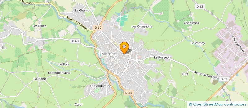 localisation de l'entreprise MONSIEUR FLAVIEN BLUZET  MORNANT