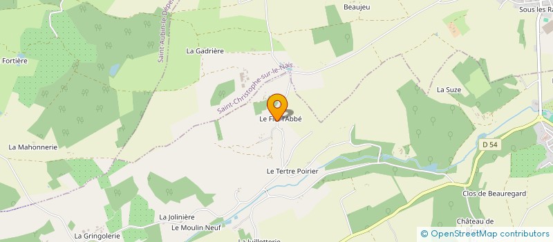 localisation de l'entreprise MONSIEUR FLAVIEN FOURNIER  SAINT-PATERNE-RACAN