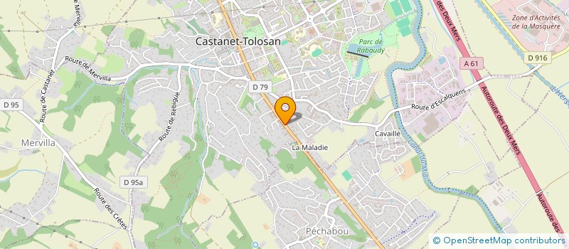 localisation de l'entreprise MONSIEUR FLAVIEN RIBEAU à CASTANET-TOLOSAN