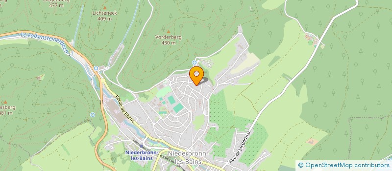 localisation de l'entreprise MONSIEUR FLAVIEN VOELZ  NIEDERBRONN-LES-BAINS