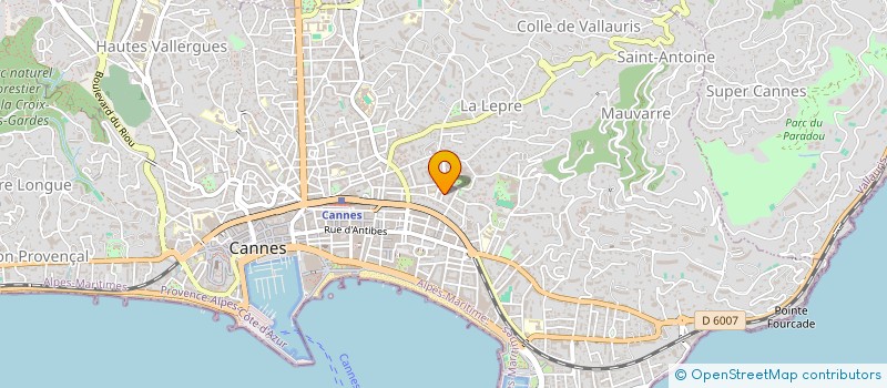 localisation de l'entreprise MONSIEUR FLAVIO MARINELLI à CANNES