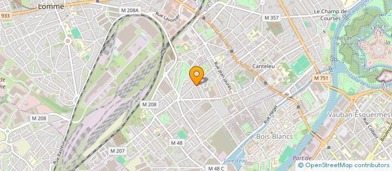 localisation de l'entreprise MONSIEUR FLAVIO SOARES BERTOLDO à LILLE