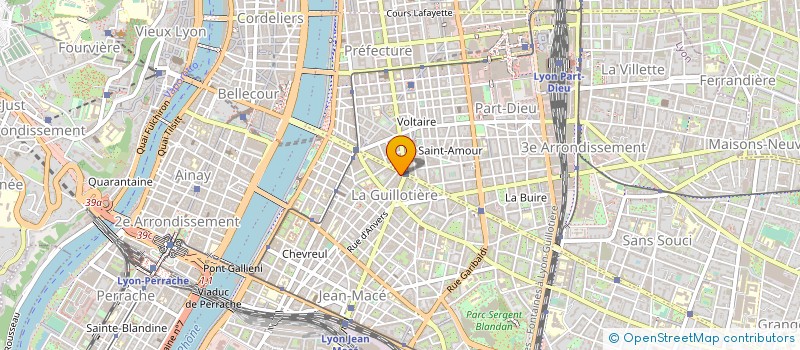 localisation de l'entreprise MONSIEUR FLAVIUS CRISTIAN CALDARAS  LYON