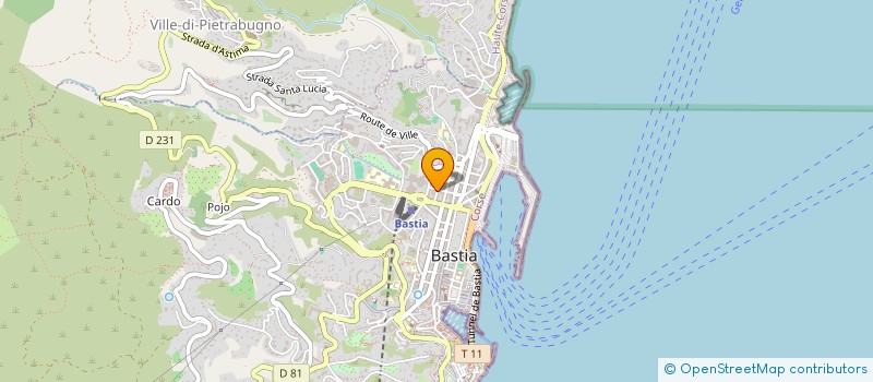 localisation de l'entreprise MONSIEUR FLORA LEVENARD à BASTIA