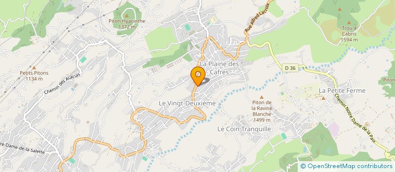 localisation de l'entreprise MONSIEUR FLORENT BEDAN  LE TAMPON