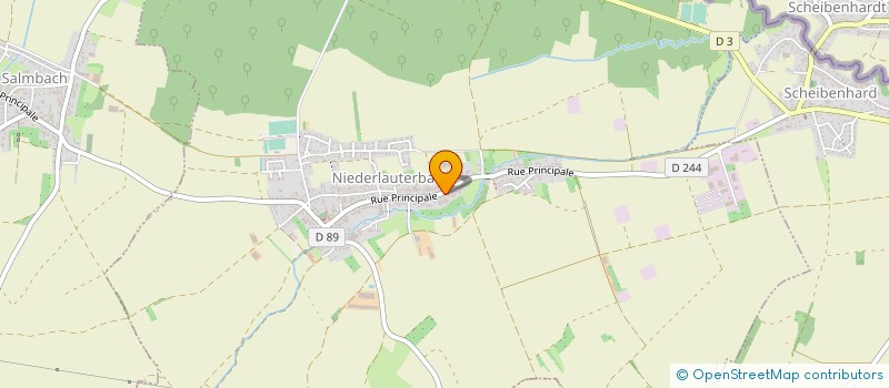 localisation de l'entreprise MONSIEUR FLORENT BURGARD à NIEDERLAUTERBACH
